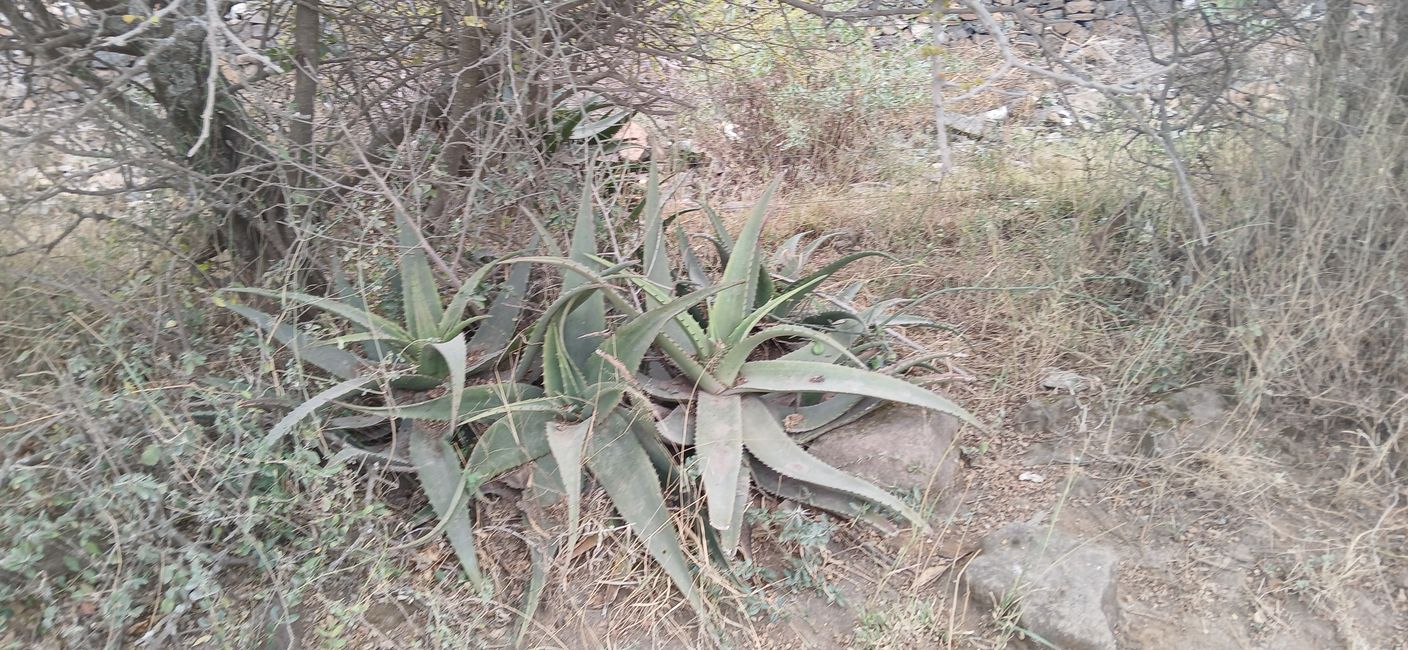 En la tierra de los Maasai