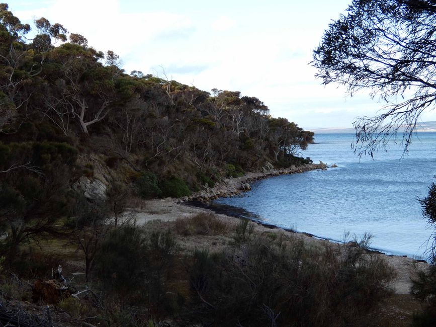 De la vallée de Barossa à l'île Kangourou