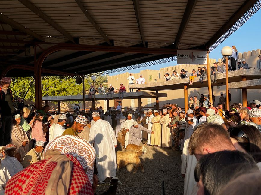 Nizwa