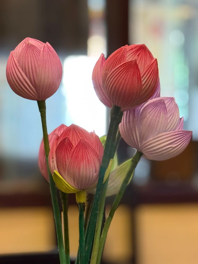 Fleurs de lotus pliées en papier
