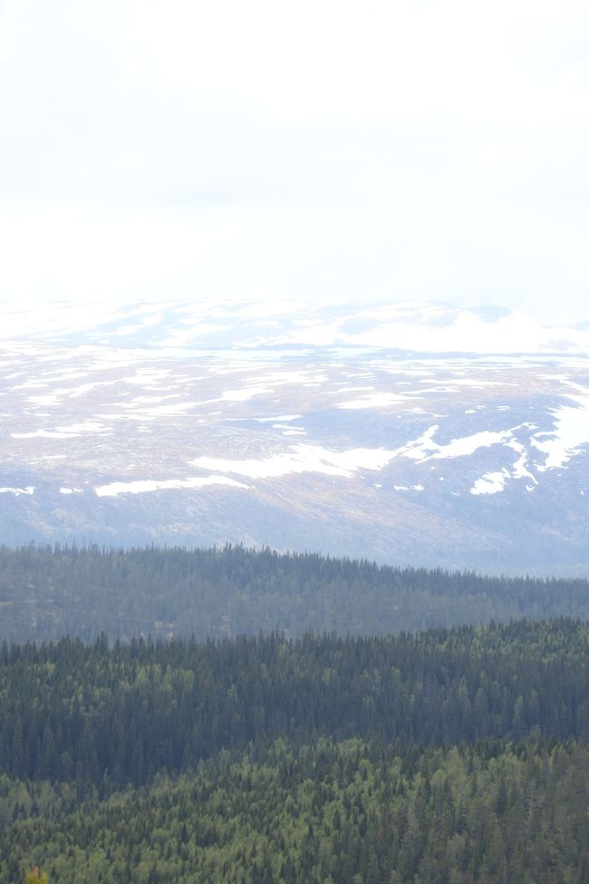 Südnorwegen hat mich in seinen Bann gezogen