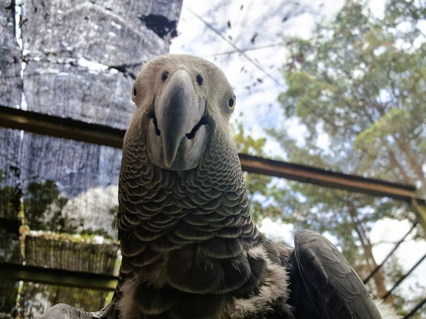 Bird Park