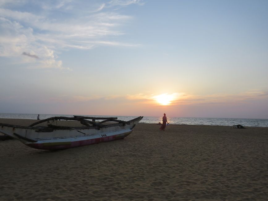 Retour à Negombo - Notre aventure en TukTuk touche à sa fin