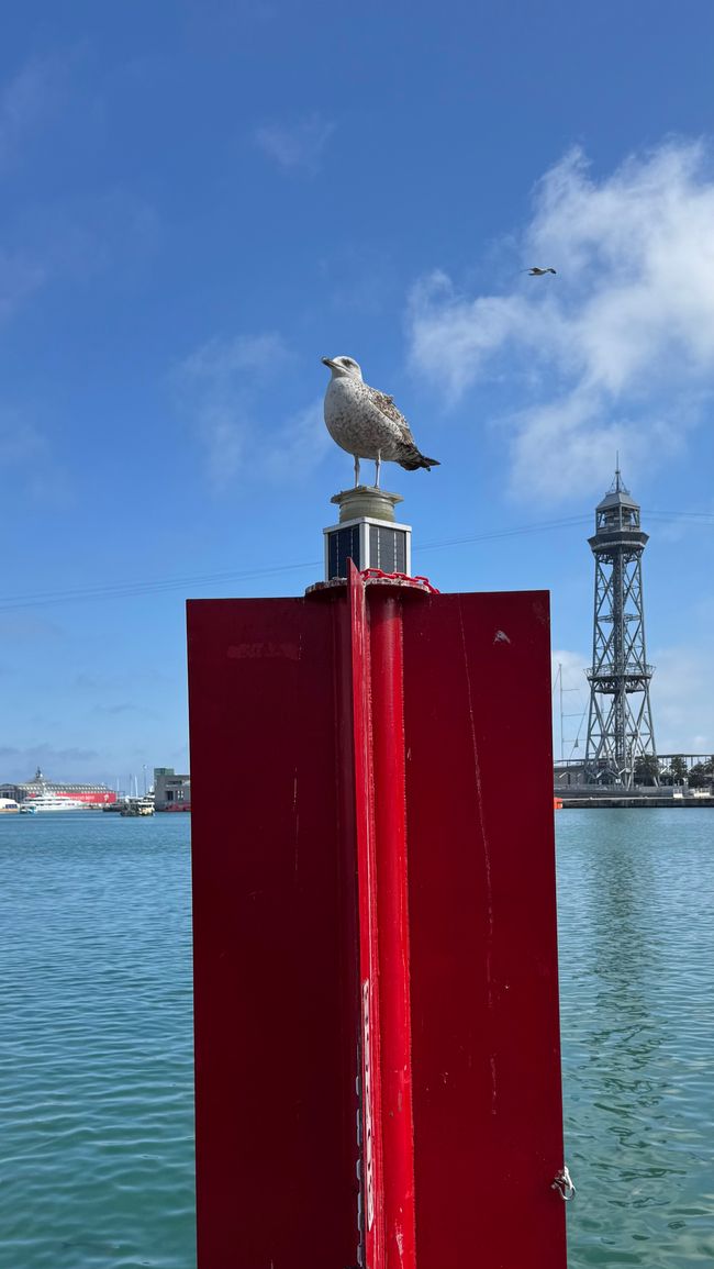 BARCELONA EINE STADT ZUM VERLIEBEN!