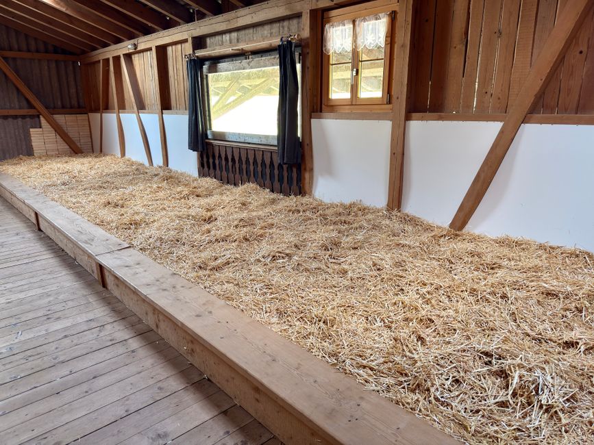 Sleeping in Straw