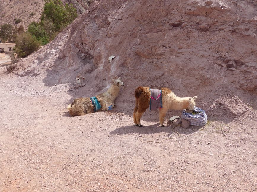Argentina, Jujuy