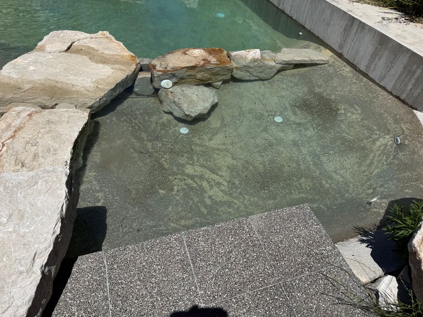 Der Pool. Der letzte Teil.