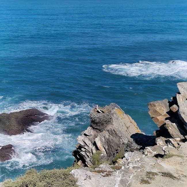Zambujeira do Mar -> Almograve