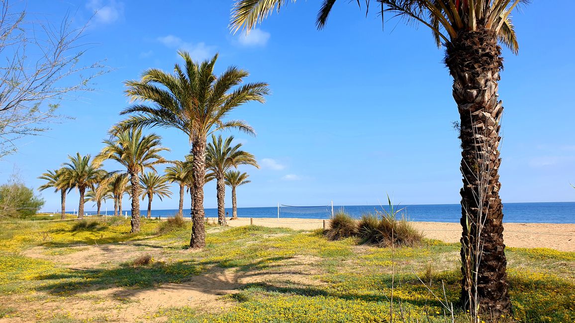 Alicante?...no grazie 609