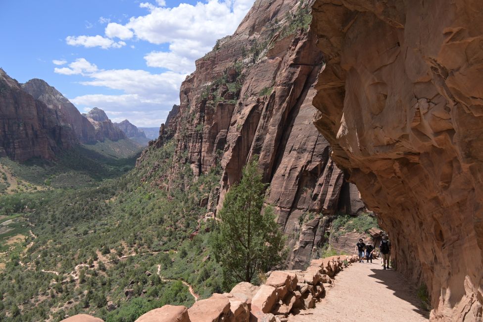 Auf dem Rückweg von Angels Landing