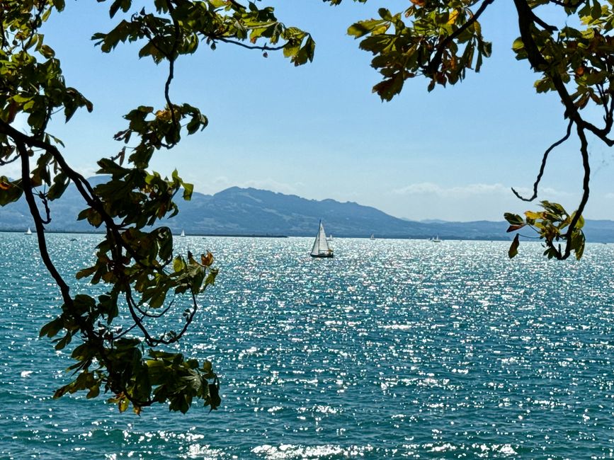 📍Lindau, Bodensee