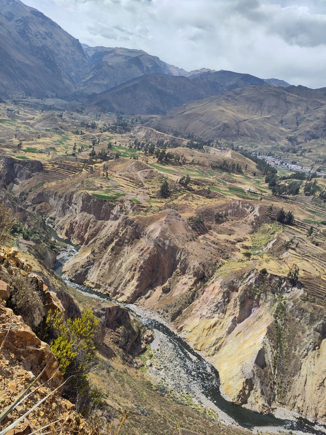 Arequipa: Beautiful Colca Canyon and the best almond peak in the world