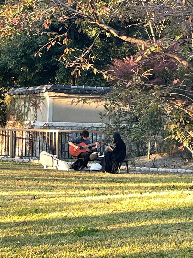 Musik im Park