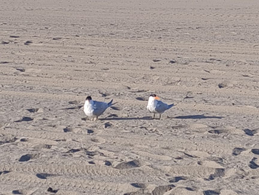 USA West Coast Roadtrip - Tag 11