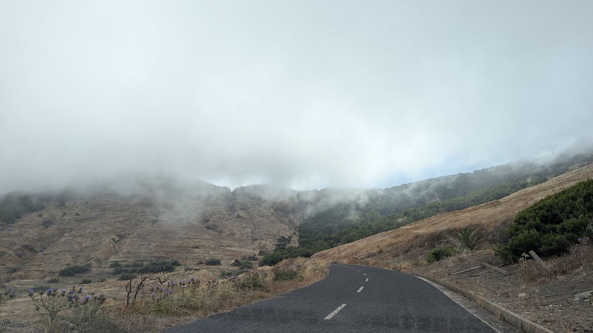 Mikroklima auf der Ostseite