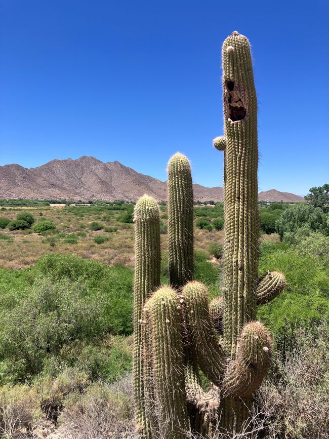 Southeast of Salta