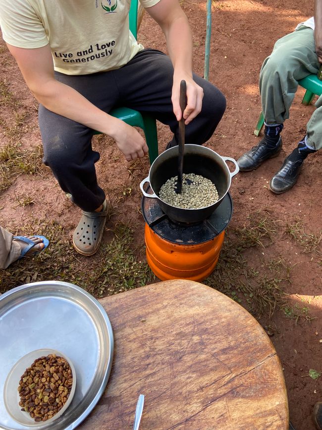 Experiencia del Café