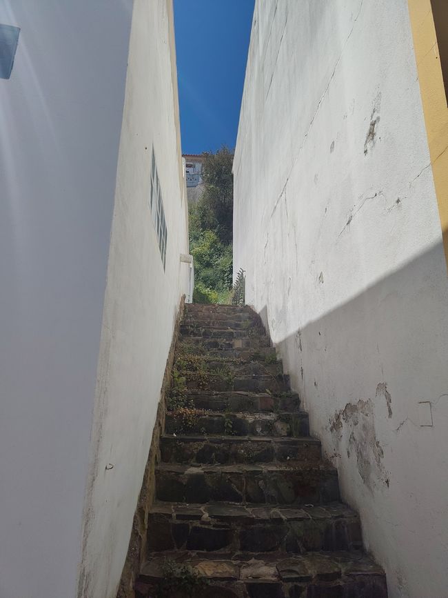 Arrifana -> Aljezur