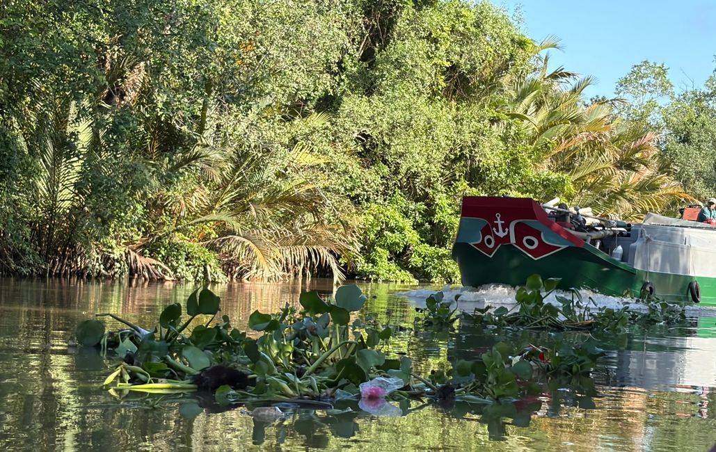 Le Mékong - Delta