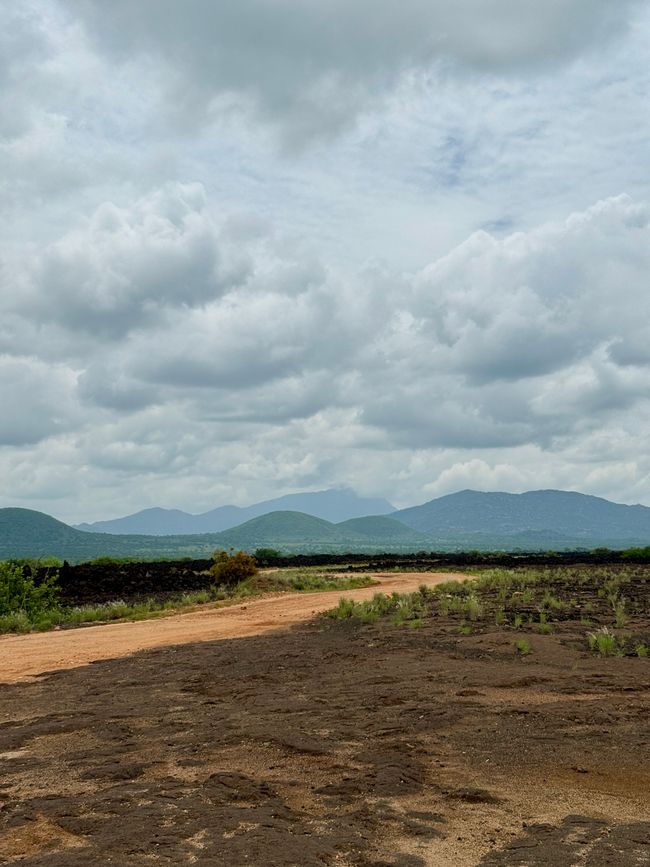 Amboseli und Tsavo West