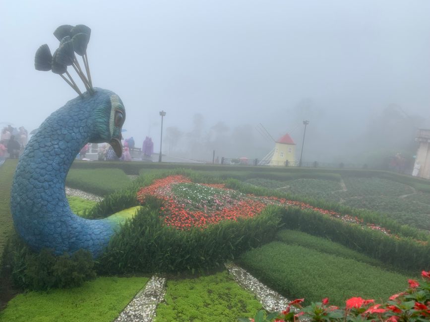 Tag 6 - Hoi An : Un Licorne Endormi et une Aventure dans le Brouillard