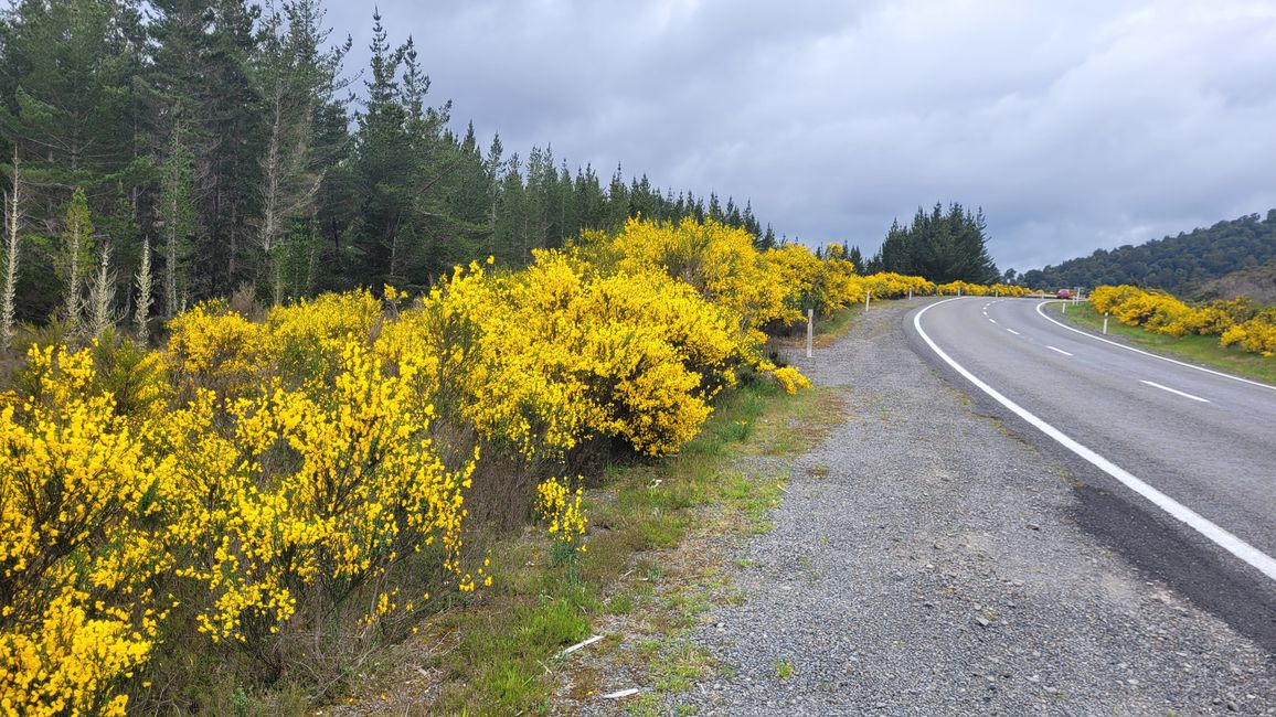 Golfing on Lake Taupo? – Yes, that's possible!