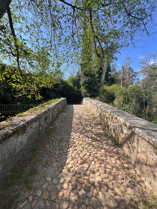 Bonjour Betanzos