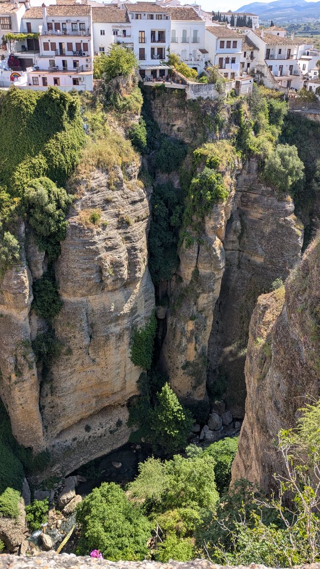 Ronda