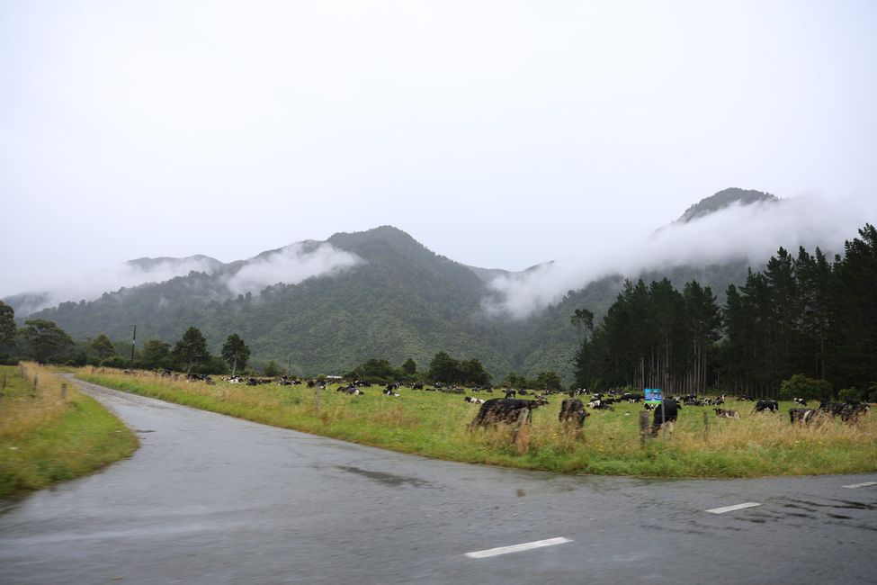 Abel Tasman