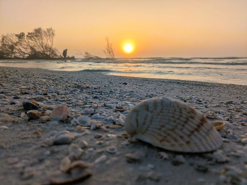 Tour in kayak al tramonto