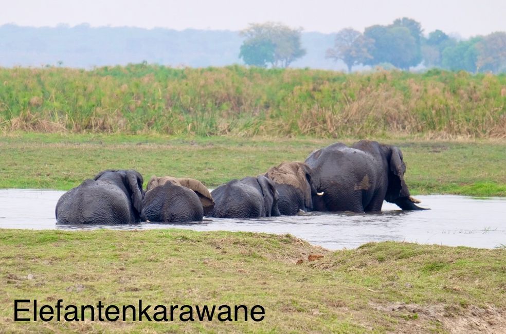 Bwabwata Naionalpark