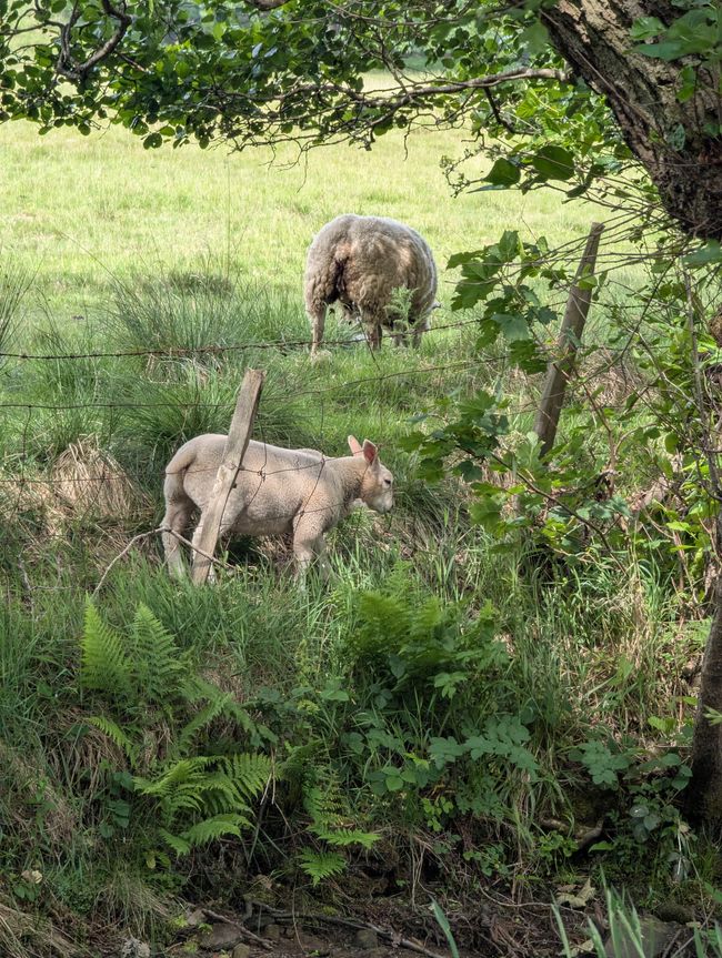 Wandern im Peak Distrikt