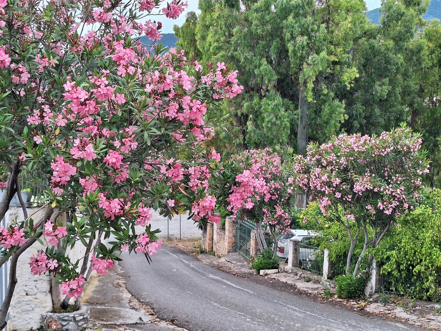 Kardamyli