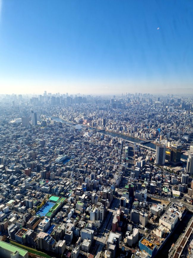 View from Skytree