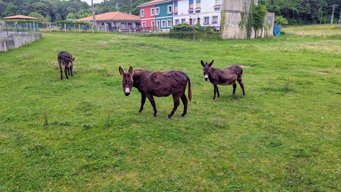 12. Etappe Camino del Norte von Pendueles nach Barro