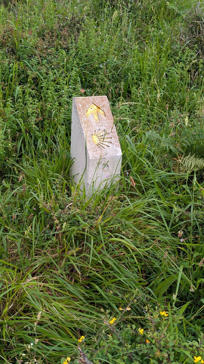 3. Etappe Camino del Norte von Castro Urdiales nach Liendo