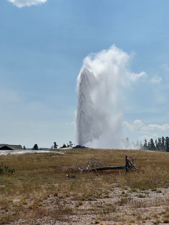 Wyoming: Yellowstone Part 1