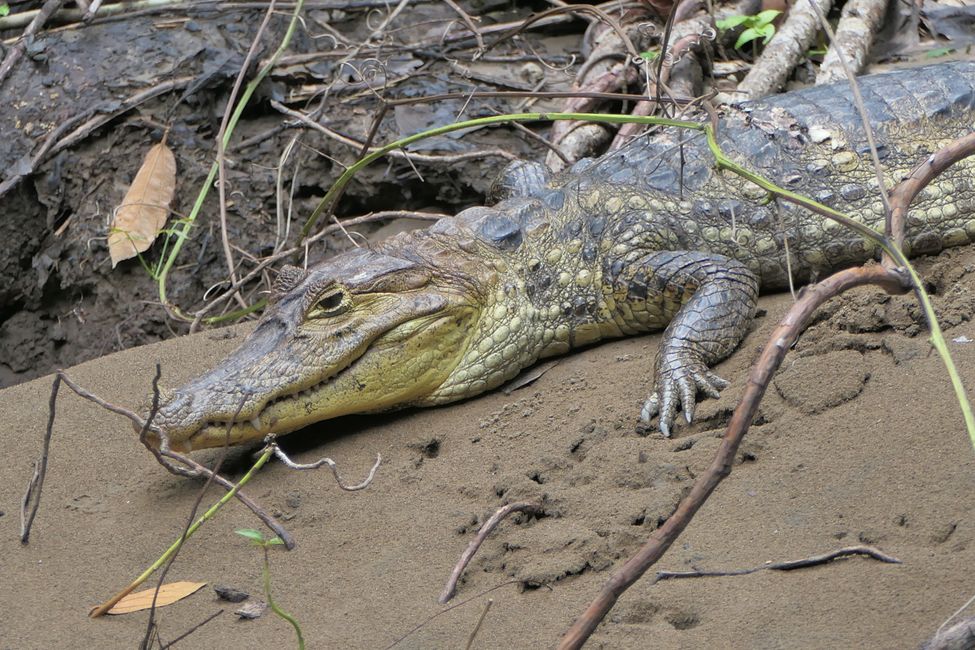 Costa Rica 2025