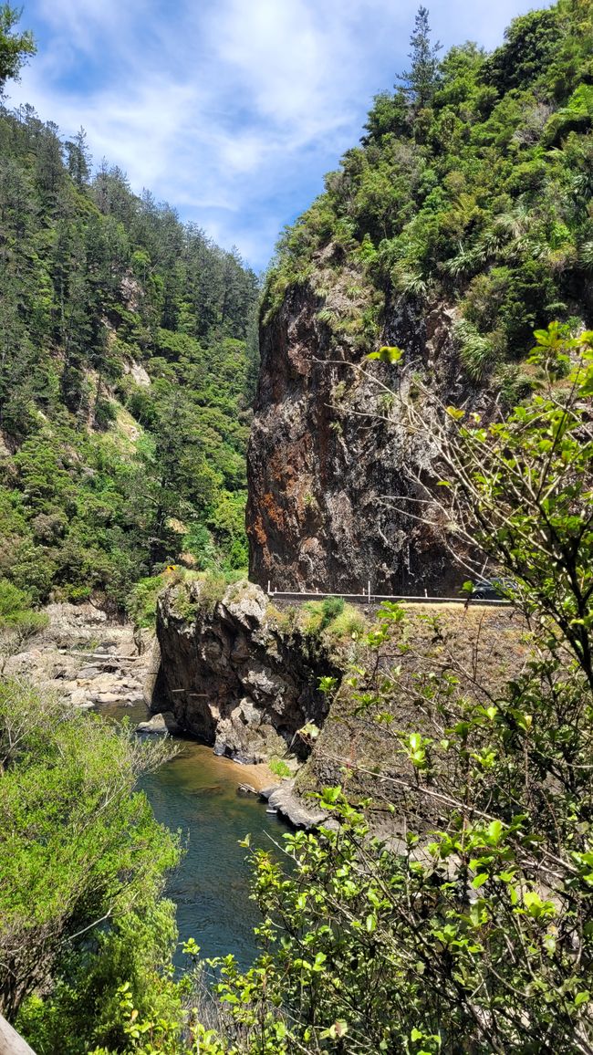 On the Trail of the Gold and Ore Mine in the Karangahake Gorge