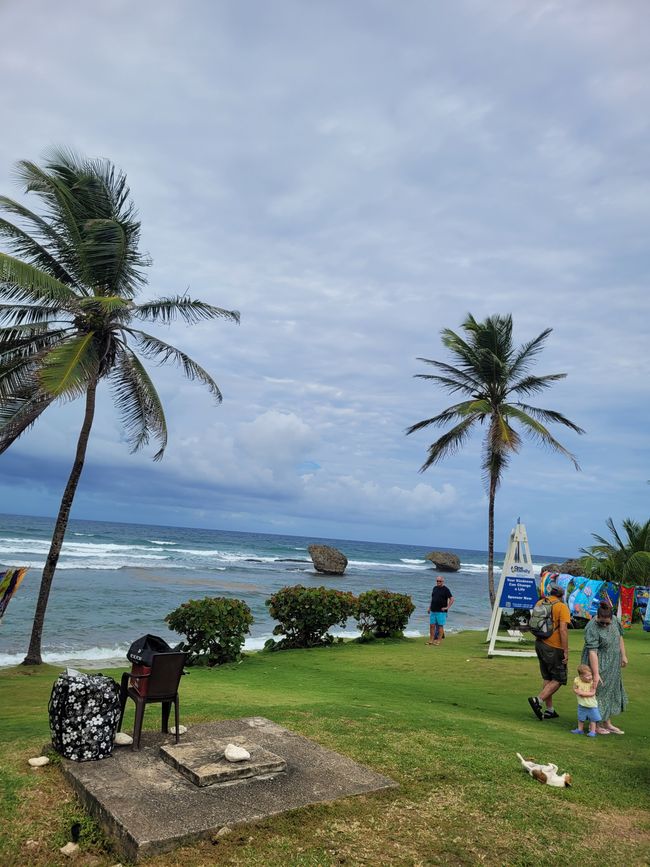 Tag 20 von 175: Kreuzfahrt rund um die Welt - Bridgetown/Barbados