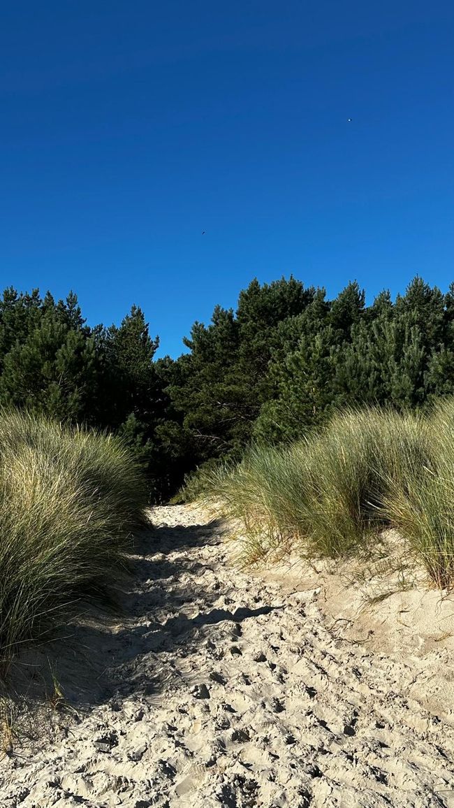 Karlshagen - immer mehr, immer mehr, immer mehr…