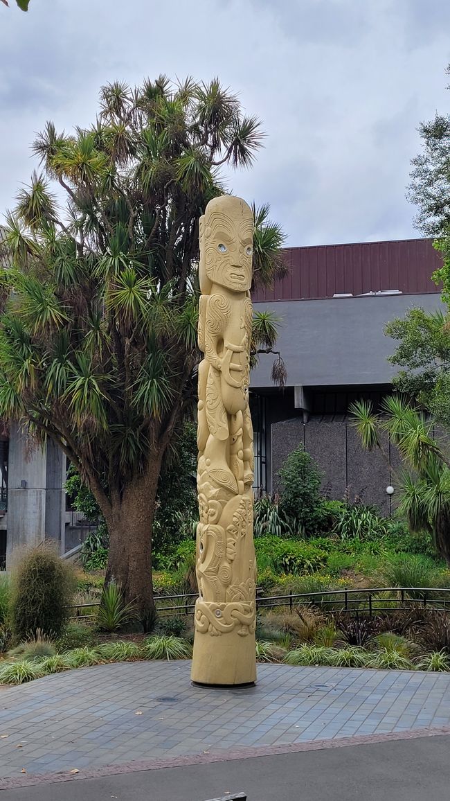 January 29 - February 27, 2025, New Zealand
February 2