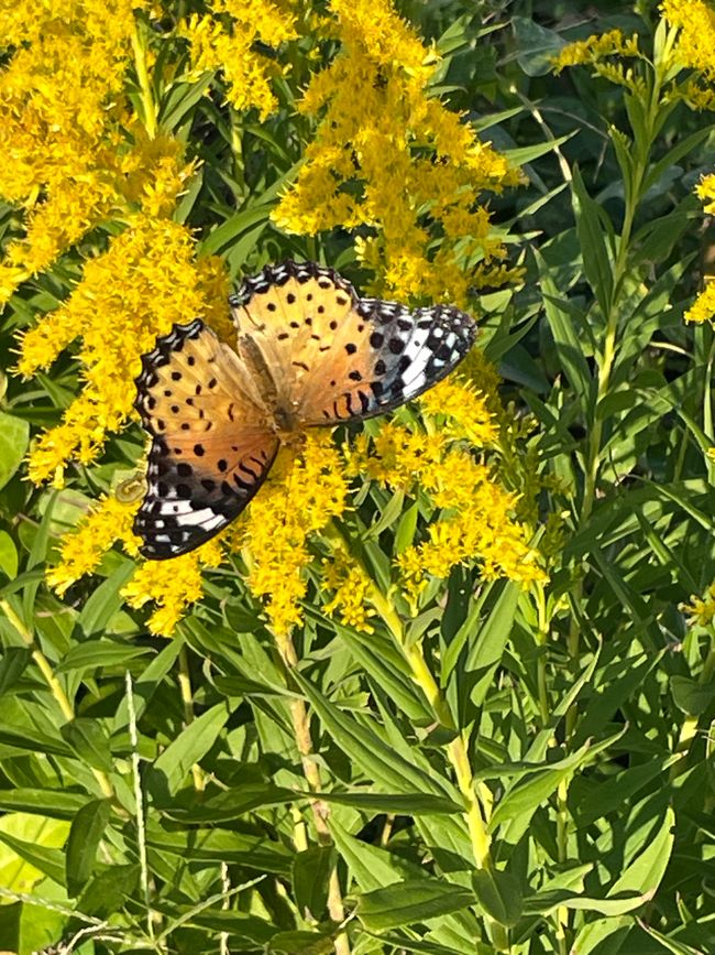 4.Kapitel: Ein bisschen vorzeitig ins Paradies