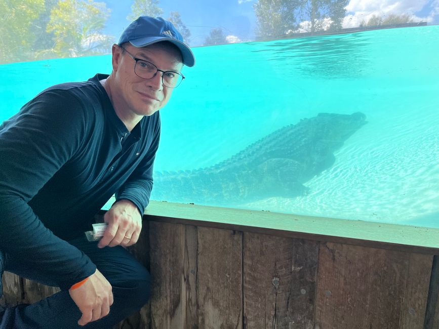 Das Australien-Krokodil ist eine Art der Echten Krokodile. Es handelt sich dabei um die Süßwasserkrokodile