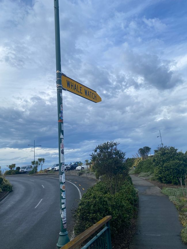 Nelson, Queen Charlotte drive, Picton, Kaikoura, Blenheim