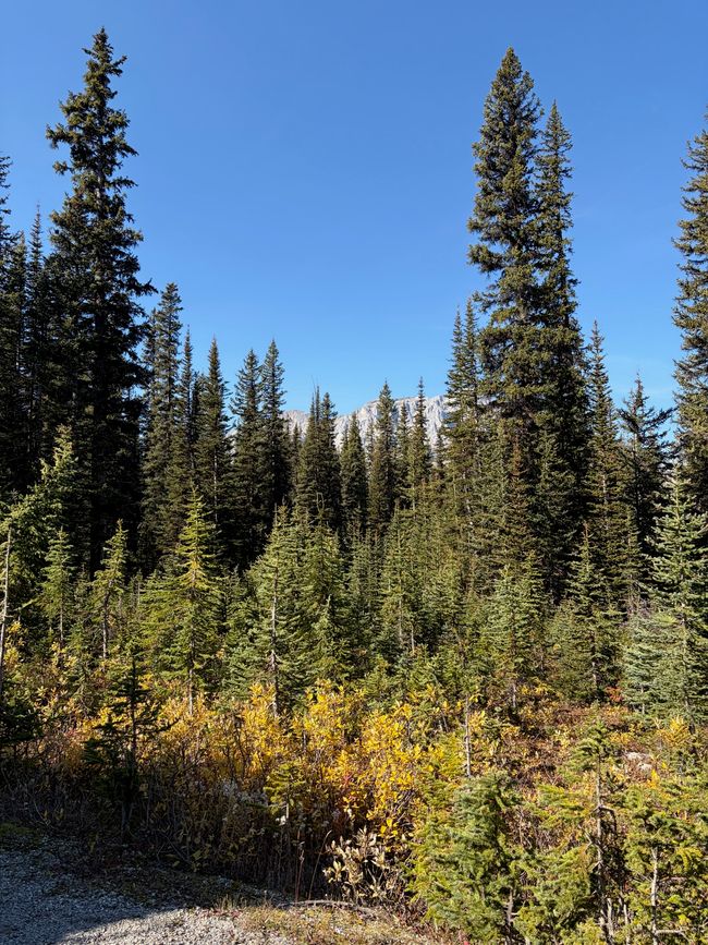 Kanada 9/21 - Banff