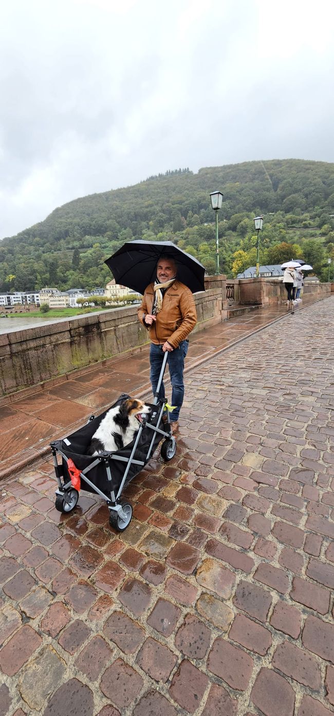 Heidelberg - an experience even in the rain!