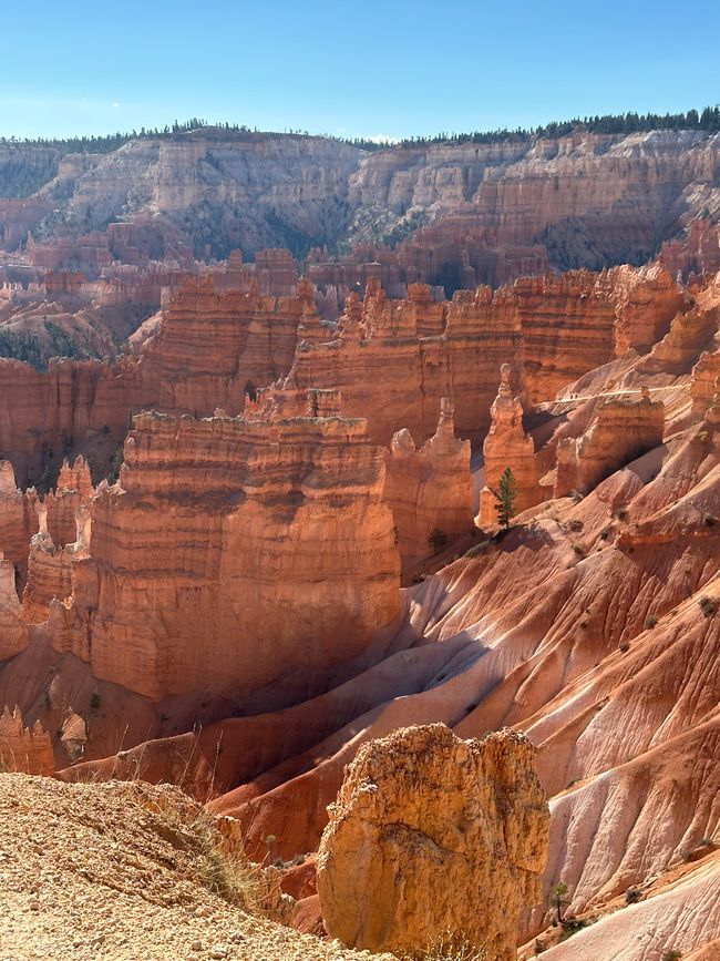 Canyon Land:Zion and  Bryce Canyon❤️