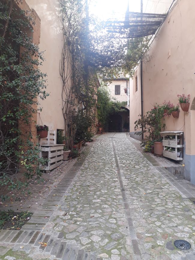 3. A hike along the Monte Subasio