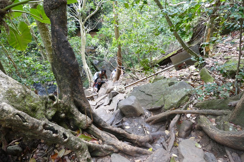 Erfrischung im Dschungel und an einem der schönsten Strände von Guadeloupe